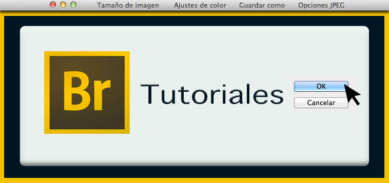 Concurso Fotografía: parámetros de imagen en BRIDGE