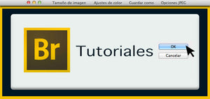 Concurso Fotografía: parámetros de imagen en BRIDGE