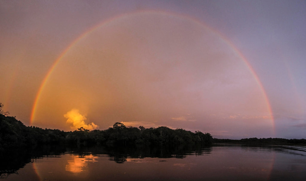 S.O.S. Mateiros da Amazônia