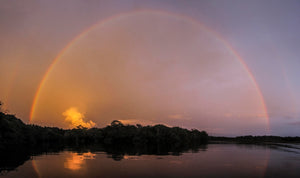 S.O.S. Mateiros da Amazônia