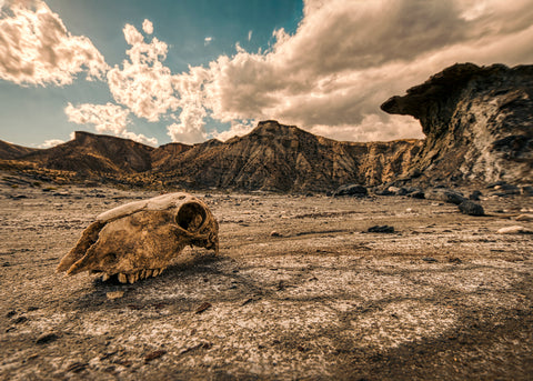 Duro Desierto