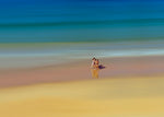 Playas I