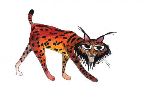 Lince Ibérico. Lynx Pardinus