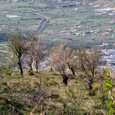 Entorno_06