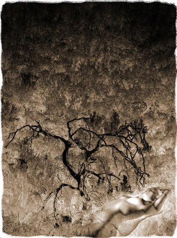 Fantasmas