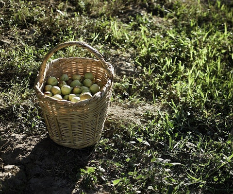 Rural_08bis