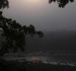 Color en la Niebla