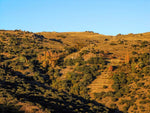 Entorno_28