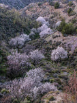 Entorno_31