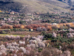 Entorno_05