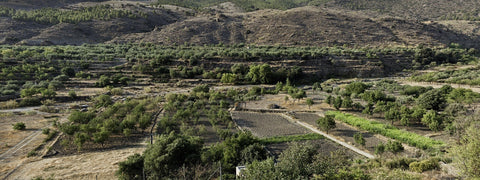 Rural_07