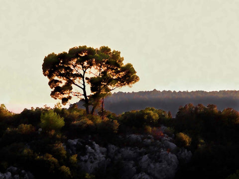 Cerca de Sainte Victoire