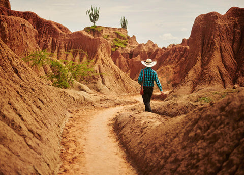 El Gran Desierto