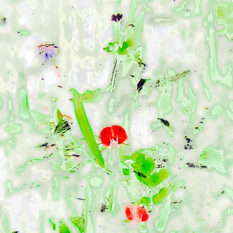 Té Verde