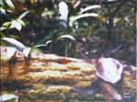 Serena Quietud