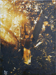 Penumbra y Luz