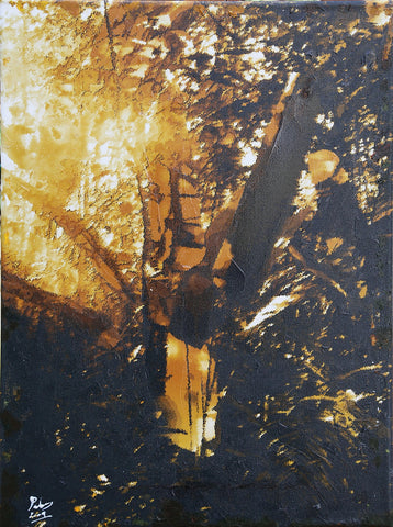 Penumbra y Luz