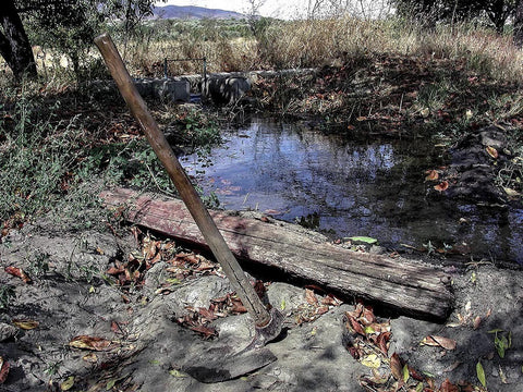 Rural_12