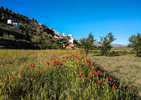 Desde las Huertas