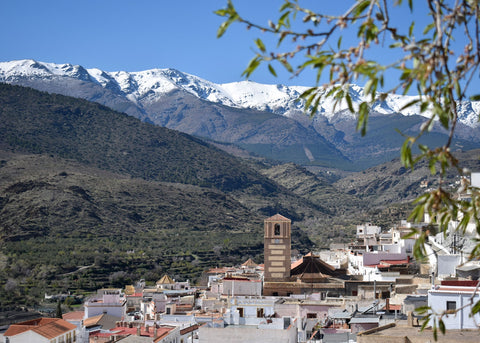 Mirador