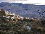 Entorno_08