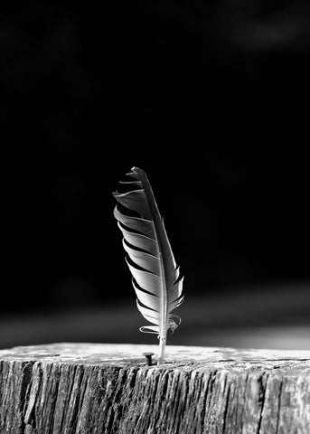 La pluma