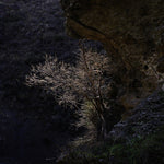 Ini-final_03