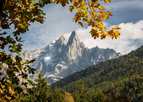 Le Dru
