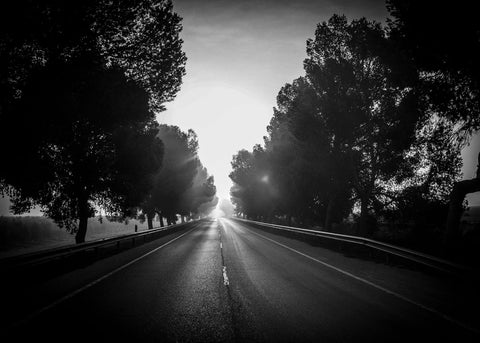 Camino