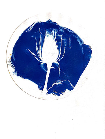 Cianotipia I
