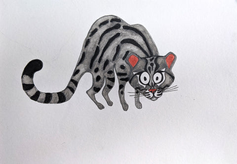 Gato Montés
