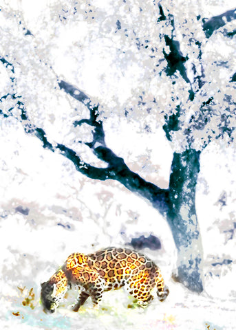 Jaguar_1