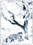 Jaguar_1_mon