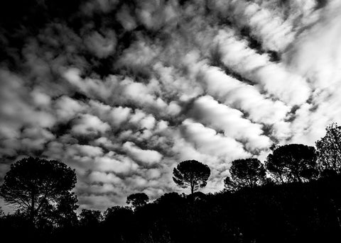 Nubes de Poesía