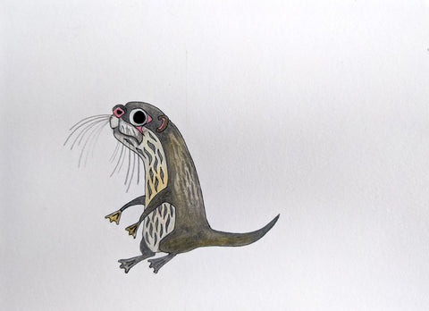 Nutria