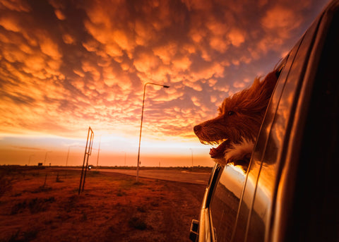 Protagonista del Atardecer