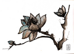 Flor